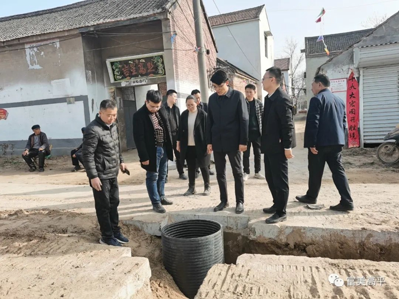 滑县县委常委组织部部长陈海青到高平镇参加全民义务劳动