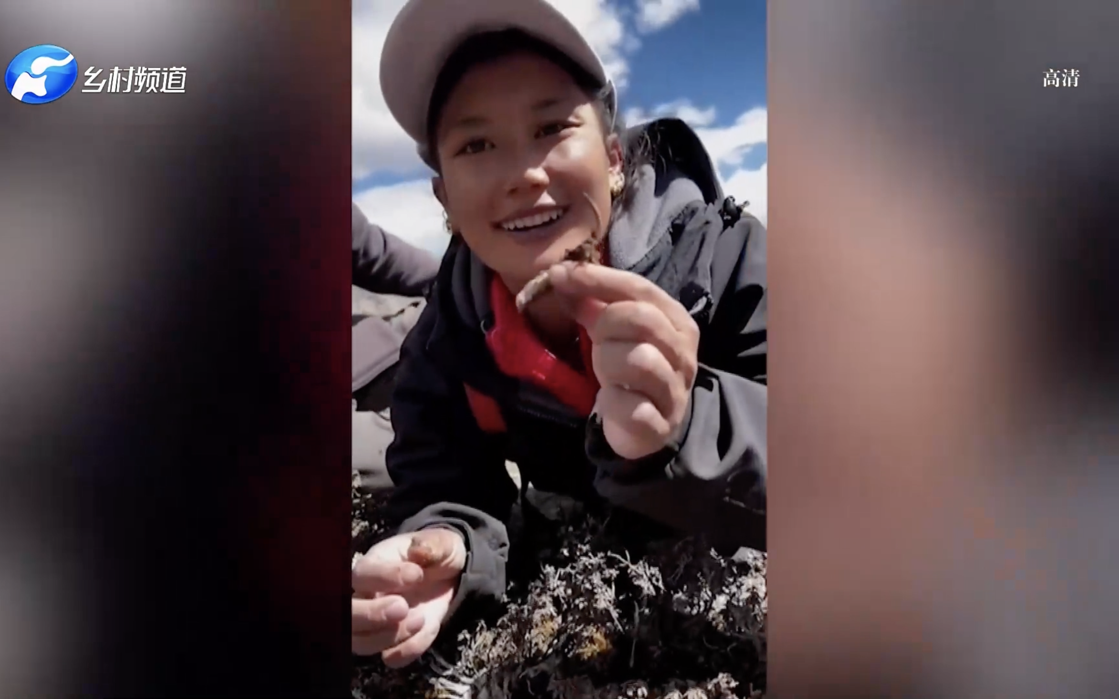 迷藏卓玛年入百万的松茸西施