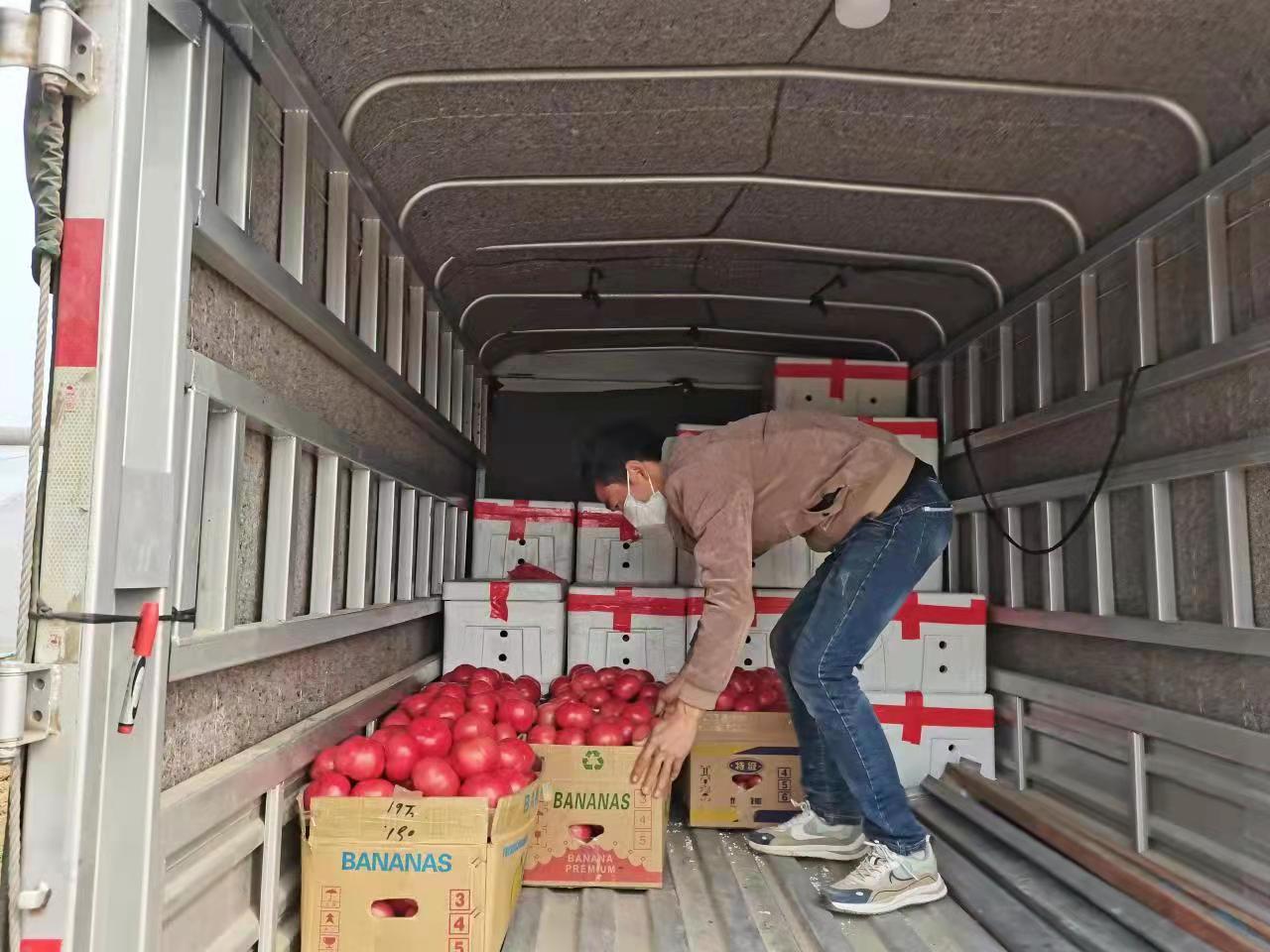 孟州市全力保障疫情防控期间农产品运输渠道畅通