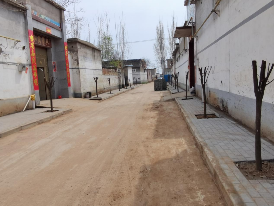 安阳县崔家桥镇路宅分家提升乡村颜值