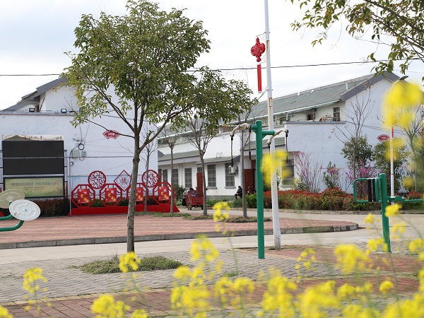 固始县张老埠乡三月桥头村色美