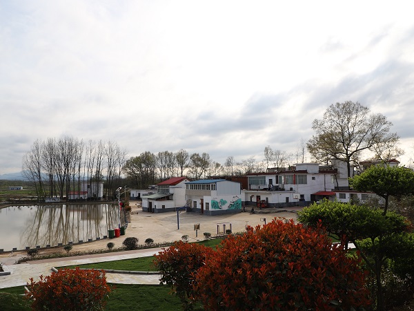 固始县张老埠乡三月桥头村色美