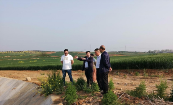 南阳市生态环境局内乡分局督导检查水污染防治工作