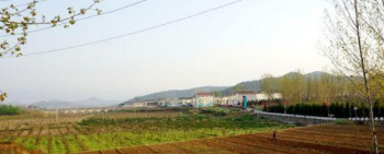 林州市茶店镇：“美丽经济”打开产业致富新密码