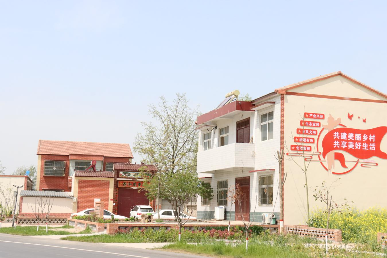 兰考县东坝头镇植树造林增绿添彩提升乡村颜值