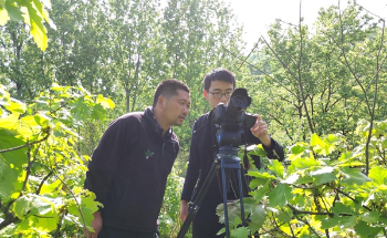 内乡宝天曼光影里植物精灵的守护