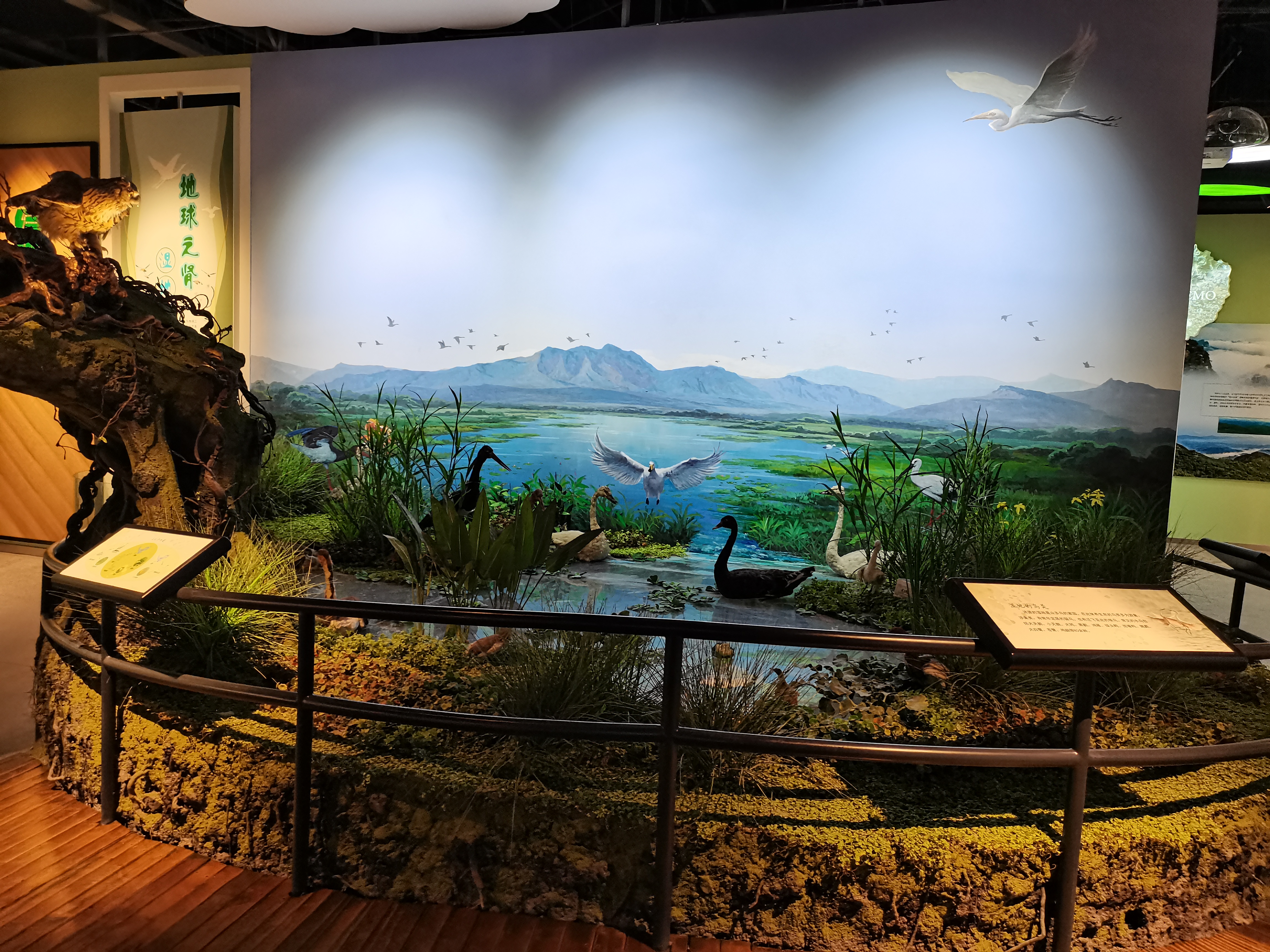 济源生态科普馆获评省级科普教育基地-大象网