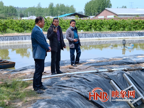 西平县农业农村局：发展水产养殖新模式 激活乡村振兴新产业