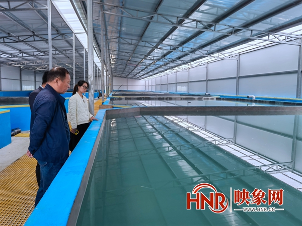 西平县农业农村局：发展水产养殖新模式 激活乡村振兴新产业