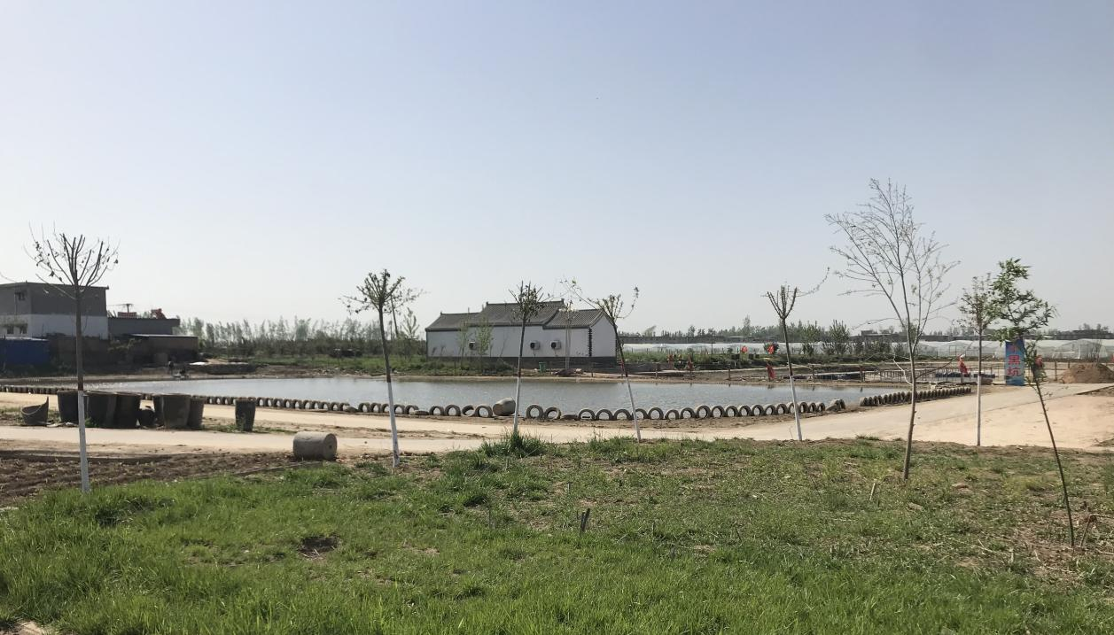 鹤壁浚县新镇镇加大人居环境整治力度让全镇净起来绿起来亮起来美起来