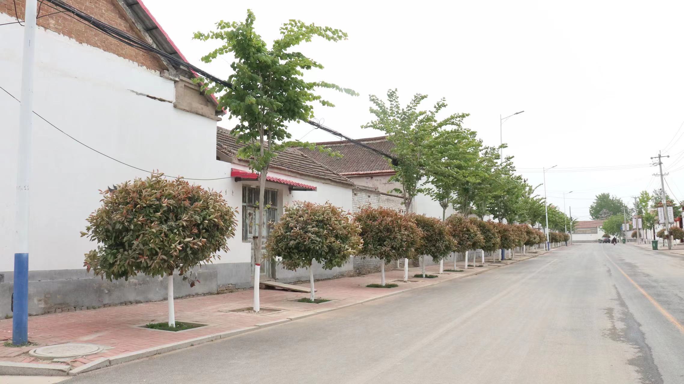 南乐县谷金楼镇人居环境内外兼修乡村颜值越来越靓