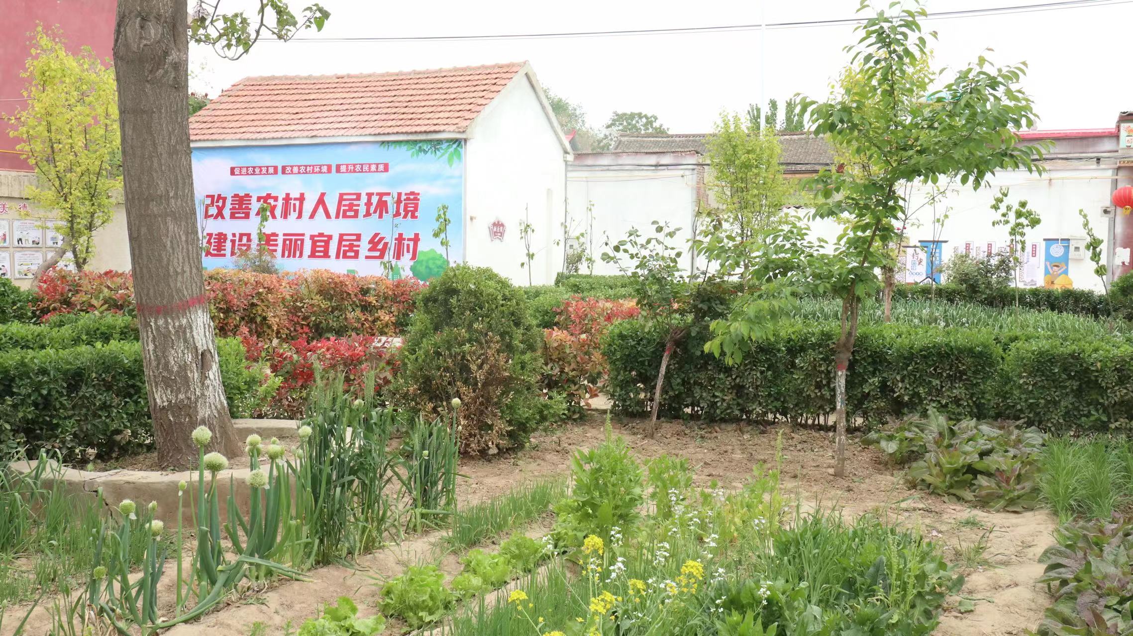 南乐县谷金楼镇人居环境内外兼修乡村颜值越来越靓