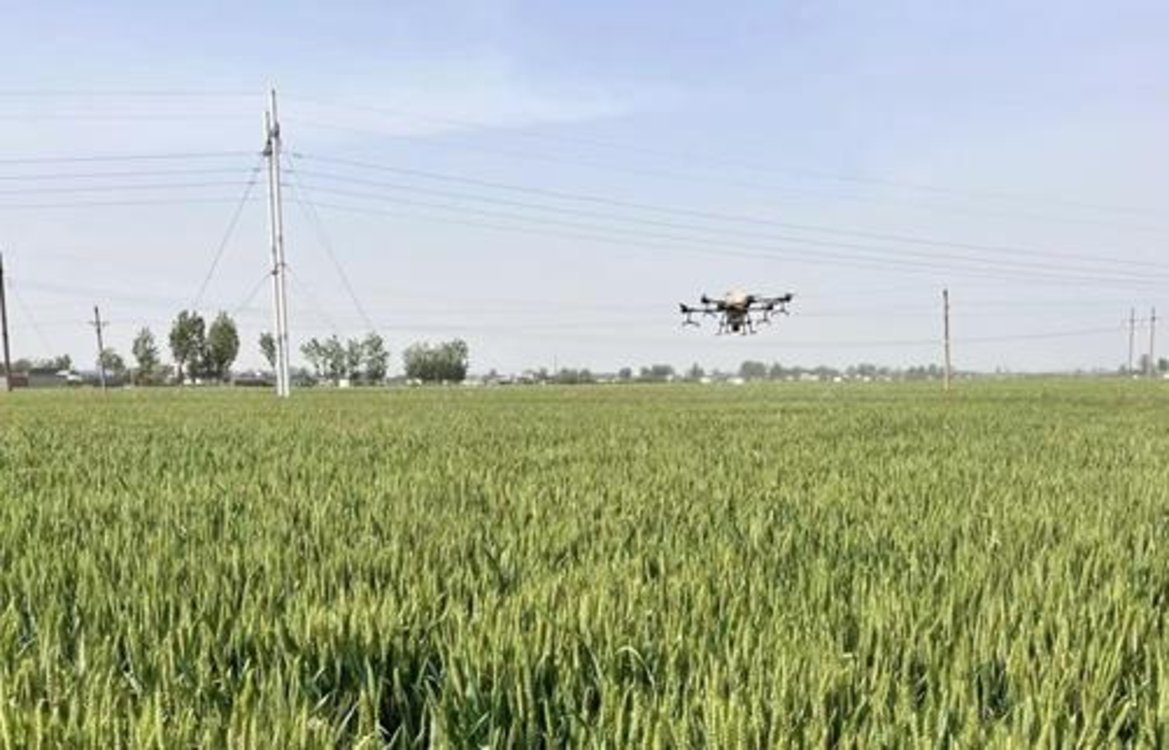 麦田管理正当时  宝丰县肖旗乡“一喷三防”促丰收