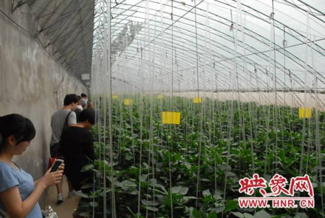 碳中和情景下未来建筑构思及实现路径