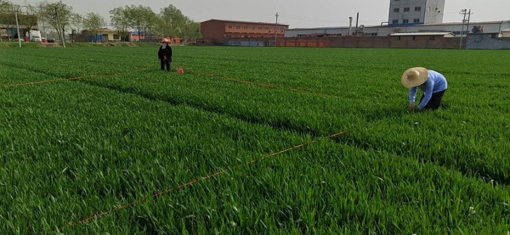 南乐县“四个落实”严格耕地保护