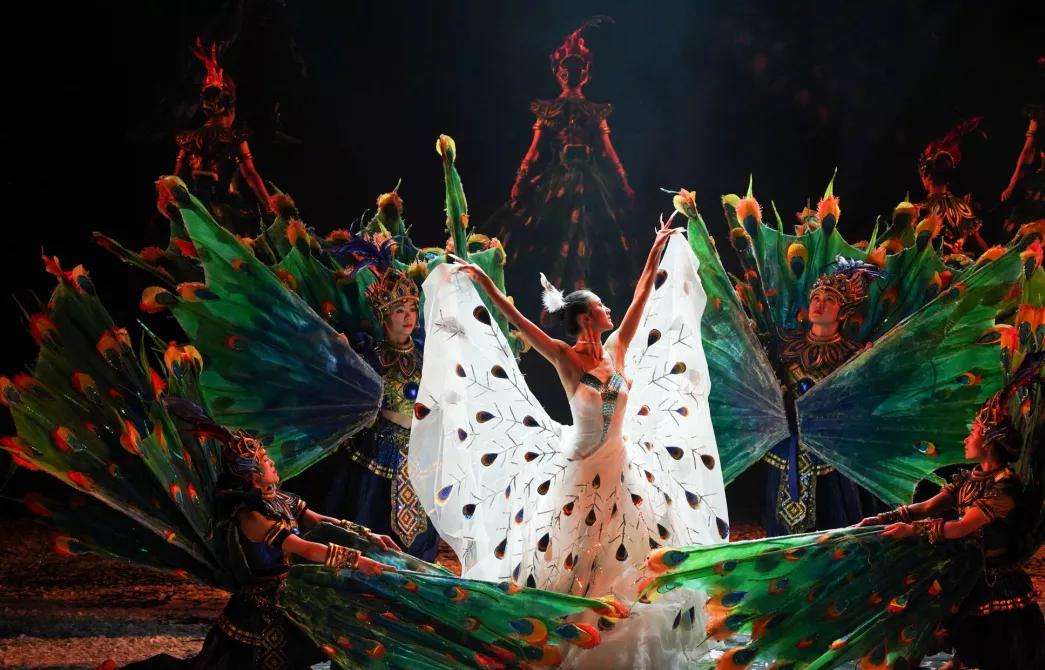 19年演出7000场杨丽萍含泪解散云南映象很多人比我们更艰难