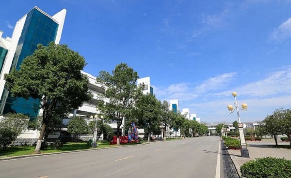 淮滨高中育人硕果累累献礼建团百年