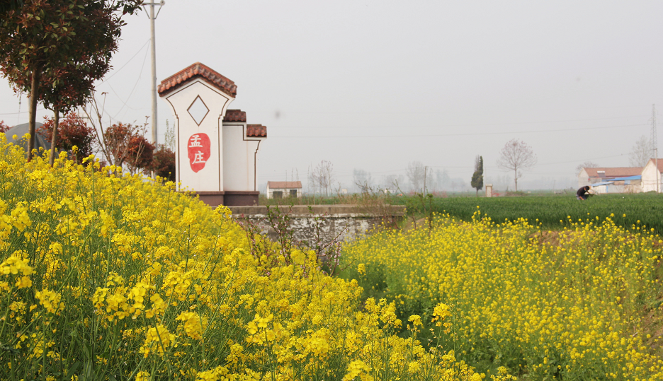 商丘市示范区贾寨镇人居环境整治呈现美丽乡村新画卷
