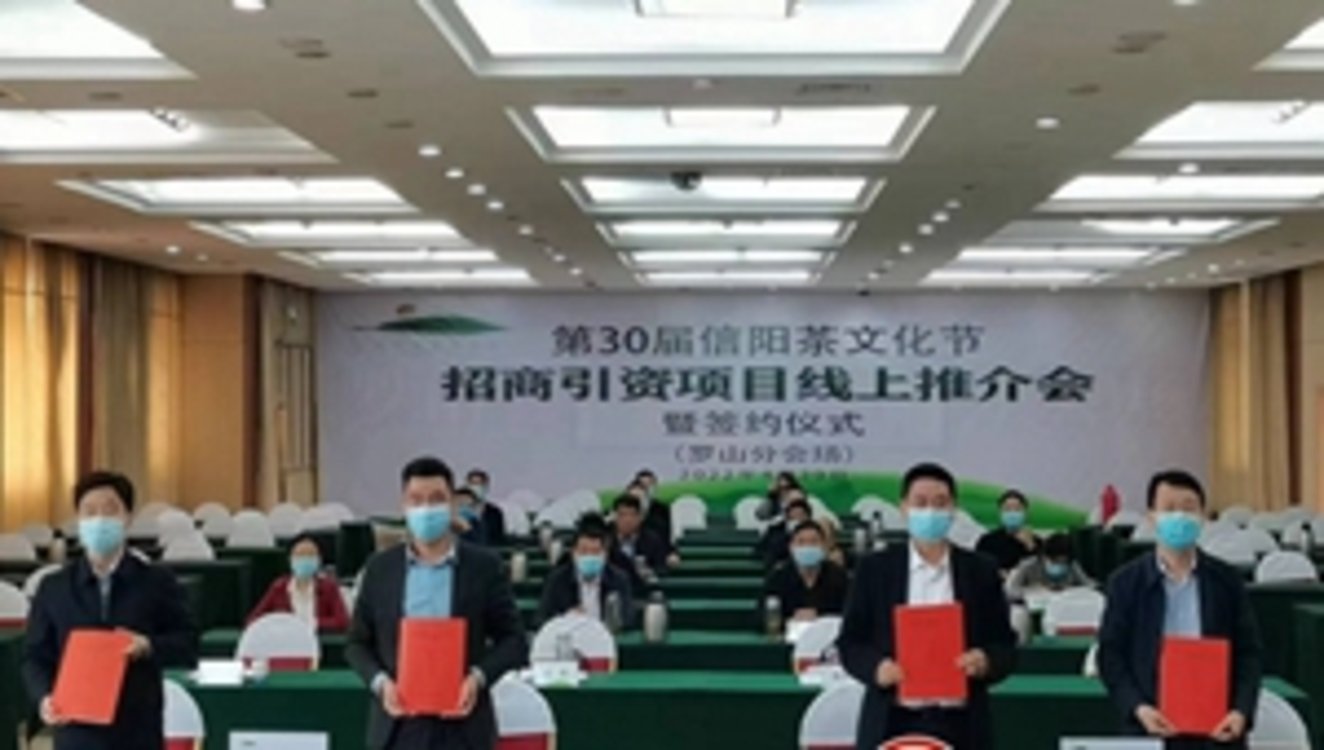 罗山：优化环境 高效招商