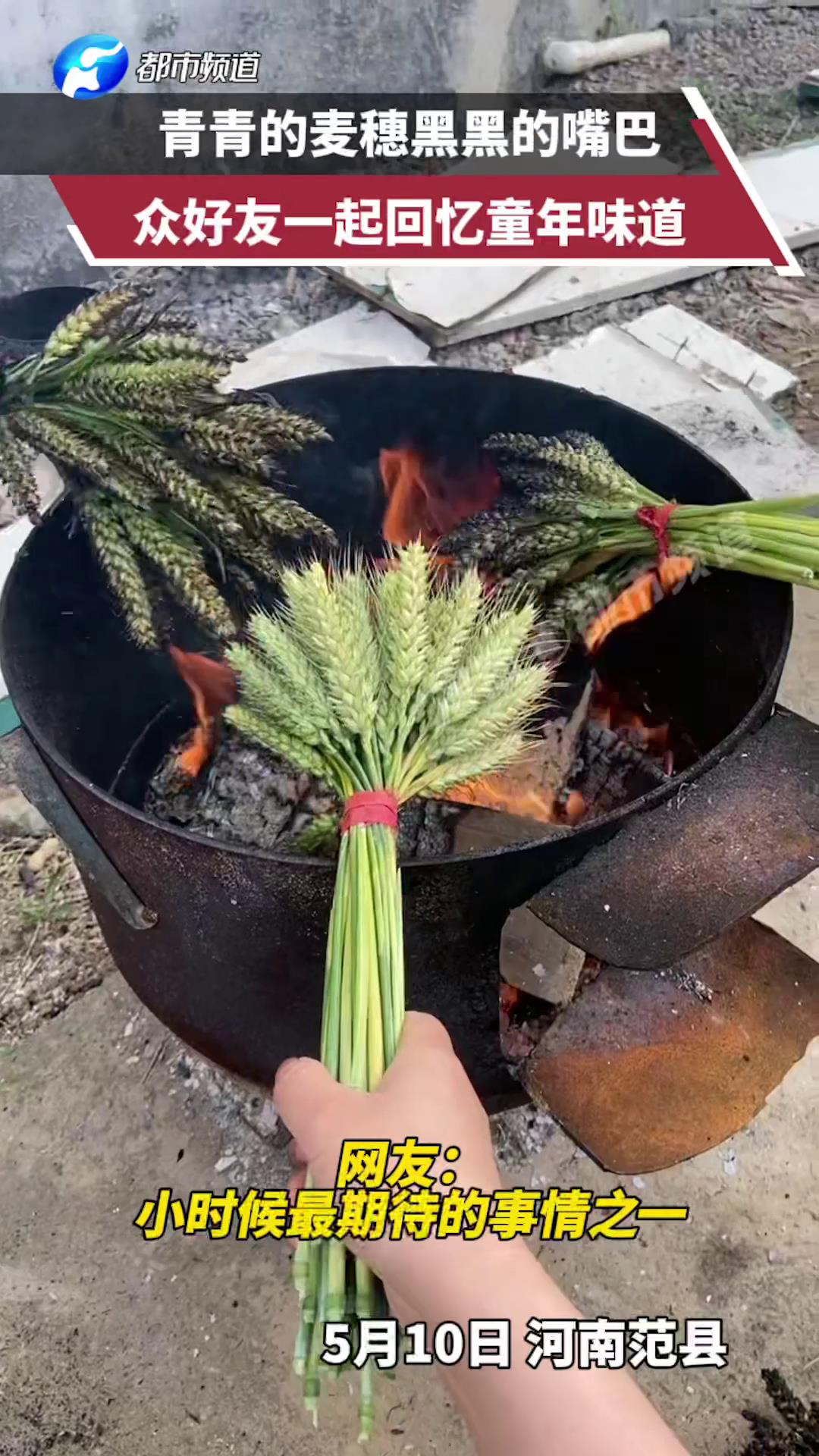 众人烤麦穗回忆童年味道网友小时候最期待的事情