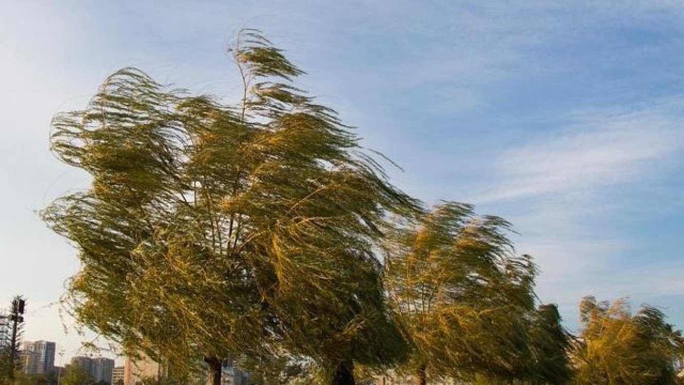 乌鲁木齐市发布大风黄色预警 局地阵风达10级 有航班因大风取消