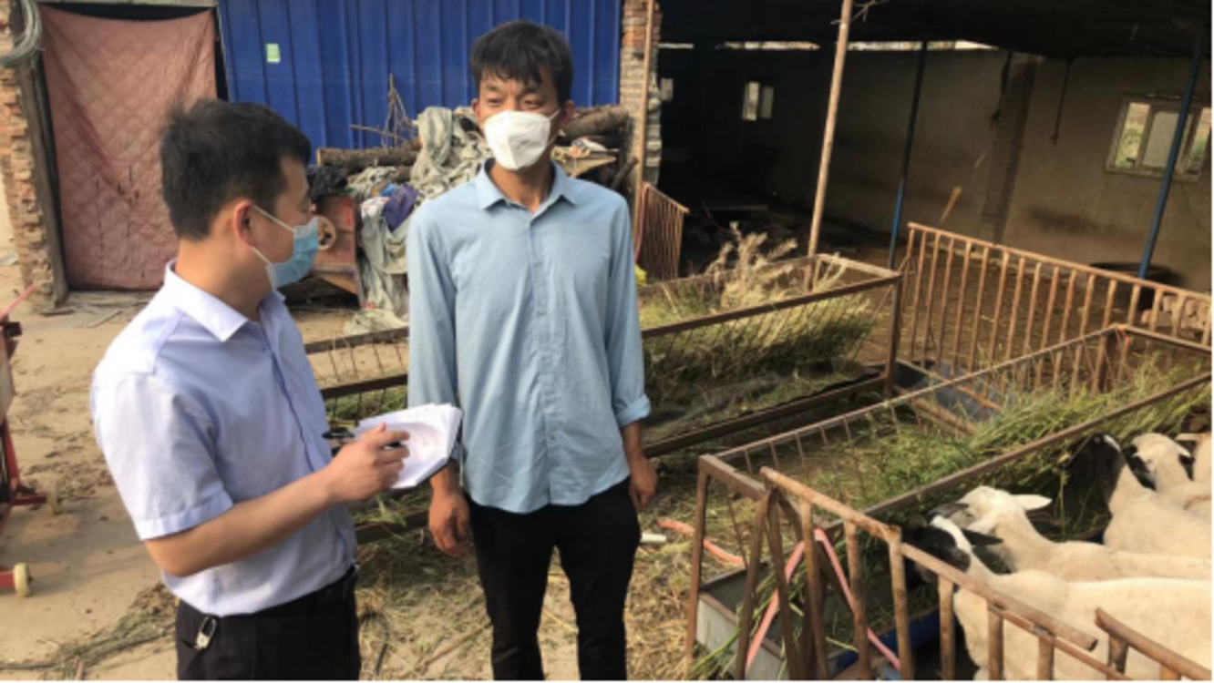 淇县养殖户李如彬：有大伙儿的帮助，俺的羊场又热闹起来了