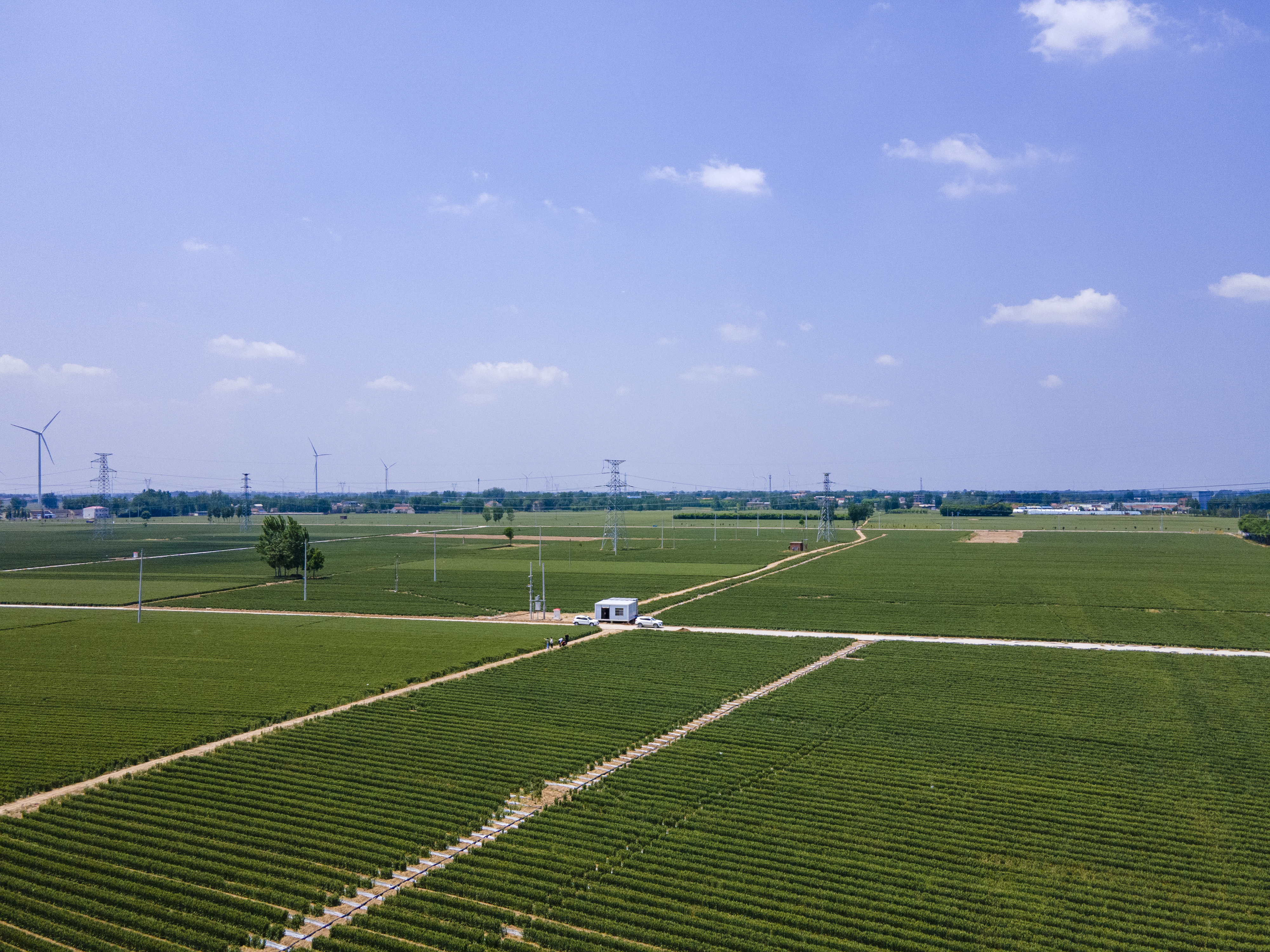 安阳市内黄县打造智慧辣椒种植基地会种地变慧种地