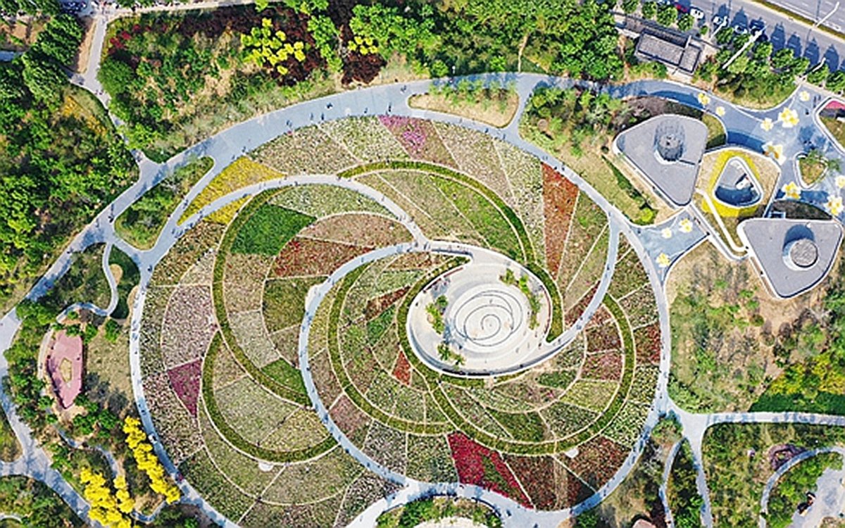 占地150亩！郑州月季花海爆火！名字超好听