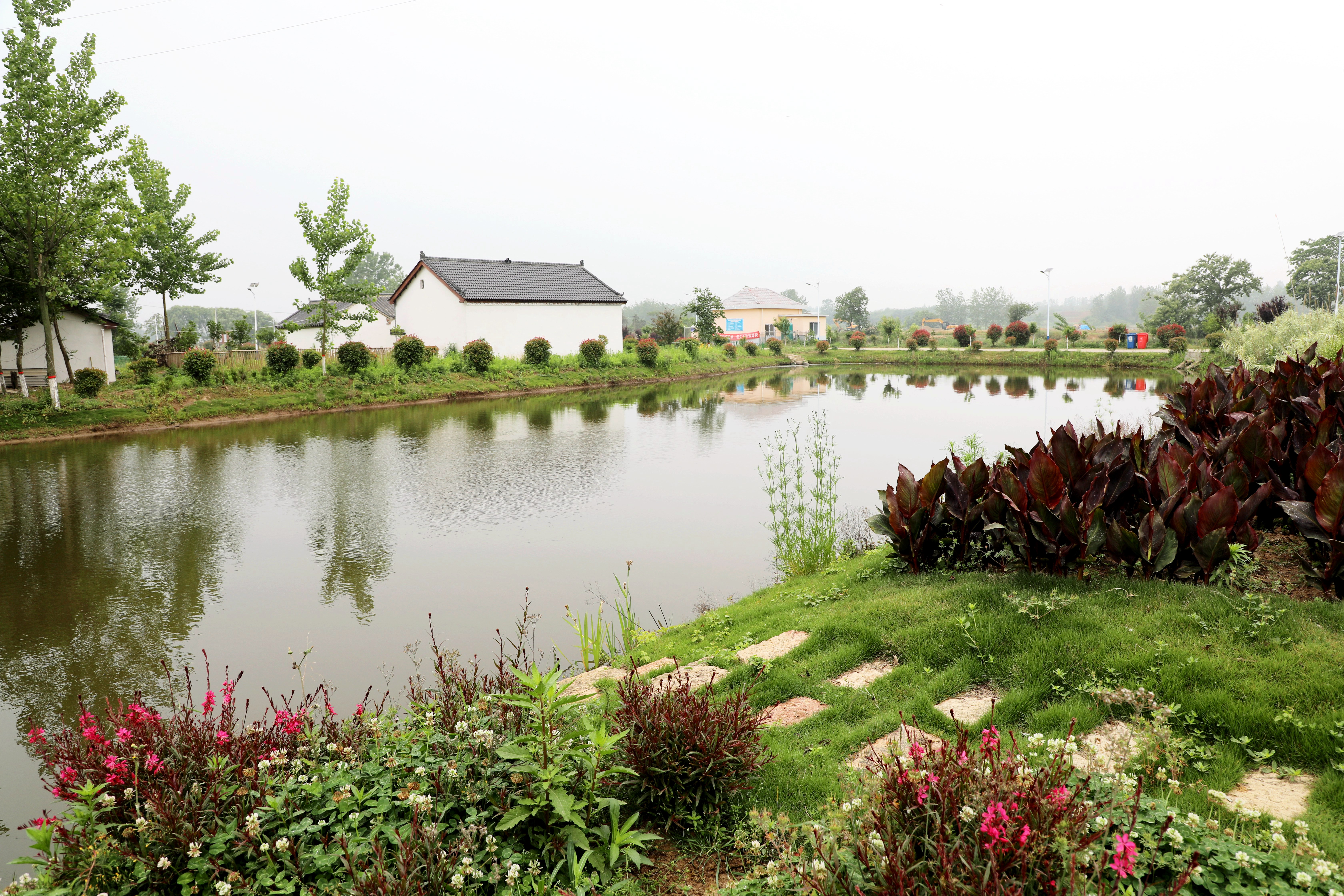 信阳市平桥区初夏时节沿九曲廊道去十里水乡