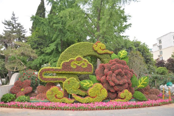 郑州月季公园姹紫嫣红春意盎然 近40万株月季等你来赏
